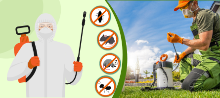 Emergency Pest Control Fawkner 