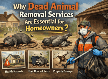 Why Dead Animal Removal Services